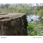 Zdjęcia użytkowników Infinix Note 40 Pro