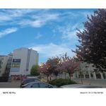 Zdjęcia użytkowników Infinix Note 40 Pro