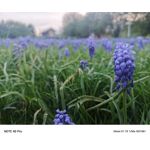 Zdjęcia użytkowników Infinix Note 40 Pro