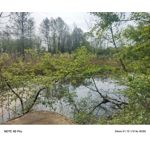 Zdjęcia użytkowników Infinix Note 40 Pro