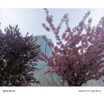 Zdjęcia użytkowników Infinix Note 40 Pro