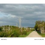 Zdjęcia użytkowników Infinix Note 40 Pro