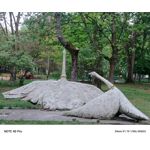 Zdjęcia użytkowników Infinix Note 40 Pro