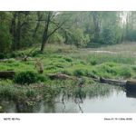 Zdjęcia użytkowników Infinix Note 40 Pro