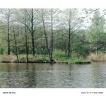 Zdjęcia użytkowników Infinix Note 40 Pro