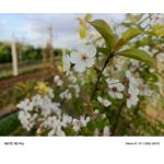 Zdjęcia użytkowników Infinix Note 40 Pro