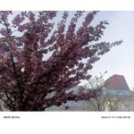 Zdjęcia użytkowników Infinix Note 40 Pro