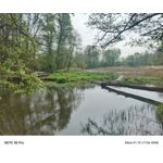 Zdjęcia użytkowników Infinix Note 40 Pro