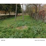 ZDJĘCIA Z TEGO TELEFONU