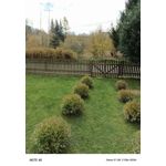 Zdjęcia użytkowników Infinix Note 40