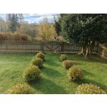 Zdjęcia użytkowników Infinix Note 40