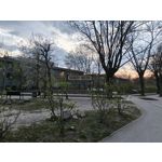 Zdjęcia użytkowników Infinix Note 50 Pro+ 5G