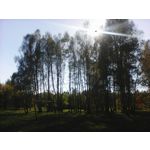 Zdjęcia użytkowników Kazam Life R5