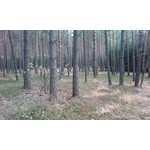 Zdjęcia użytkowników Kazam Trooper X4.0 Zdjęcia użytkowników Kazam Trooper X4.0