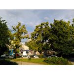 Zdjęcia użytkowników Kruger&Matz Live 3+