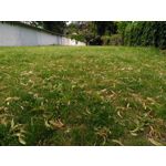 ZDJĘCIA Z TEGO TELEFONU