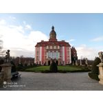 ZDJĘCIA Z TEGO TELEFONU