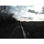 Zdjęcia użytkowników Kruger&Matz Move 3