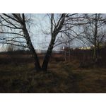 Zdjęcia użytkowników Kruger&Matz Move 3