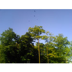 Zdjęcia użytkowników Kruger&Matz Soul