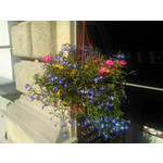 Zdjęcia użytkowników Kruger&Matz Soul