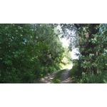 Zdjęcia użytkowników Leagoo Elite 1 Zdjęcia użytkowników Leagoo Elite 1