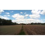 ZDJĘCIA Z TEGO TELEFONU