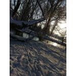 ZDJĘCIA Z TEGO TELEFONU