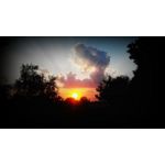 Zdjęcia użytkowników Lenovo A830