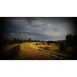 Zdjęcia użytkowników Lenovo A830