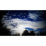 Zdjęcia użytkowników Lenovo A830