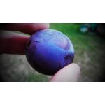 Zdjęcia użytkowników Lenovo A830