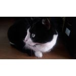 ZDJĘCIA Z TEGO TELEFONU