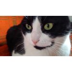 Zdjęcia użytkowników Lenovo K6 Dual SIM Zdjęcia użytkowników Lenovo K6 Dual SIM