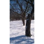 ZDJĘCIA Z TEGO TELEFONU