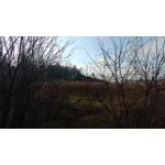 Zdjęcia użytkowników Lenovo Moto Z Play Dual SIM