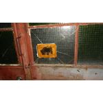 Zdjęcia użytkowników Lenovo Moto Z Play Dual SIM