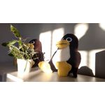 Zdjęcia użytkowników Lenovo Moto Z Play Dual SIM