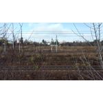 Zdjęcia użytkowników Lenovo Moto Z Play Dual SIM