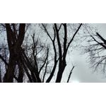 Zdjęcia użytkowników Lenovo Moto Z Play Dual SIM