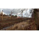 Zdjęcia użytkowników Lenovo Moto Z Play Dual SIM