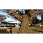 Zdjęcia użytkowników Lenovo Moto Z Play Dual SIM