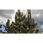 Zdjęcia użytkowników Lenovo Moto Z Play Dual SIM