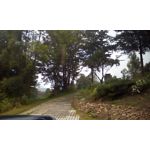 Zdjęcia użytkowników Lenovo Tab 2 A8-50 4G