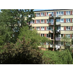 Zdjęcia użytkowników LG A310