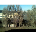 ZDJĘCIA Z TEGO TELEFONU