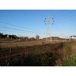 Zdjęcia użytkowników LG G Flex2