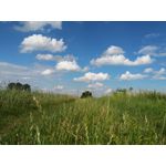 Zdjęcia użytkowników LG G Flex2