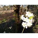 Zdjęcia użytkowników LG G Flex2