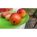 Zdjęcia użytkowników LG G Flex2